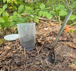 Provtagning av jord med sked och 250 ml burk.