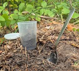 Soil sampling with spoon and 250 ml jar.